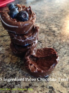 5 Ingredient Paleo Chocolate Treat at Did That Just Happen Blog http://wp.me/p2RZ2Q-1Jn